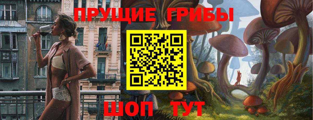 Псилоцибиновые грибы GOLDEN TEACHER Кувандык